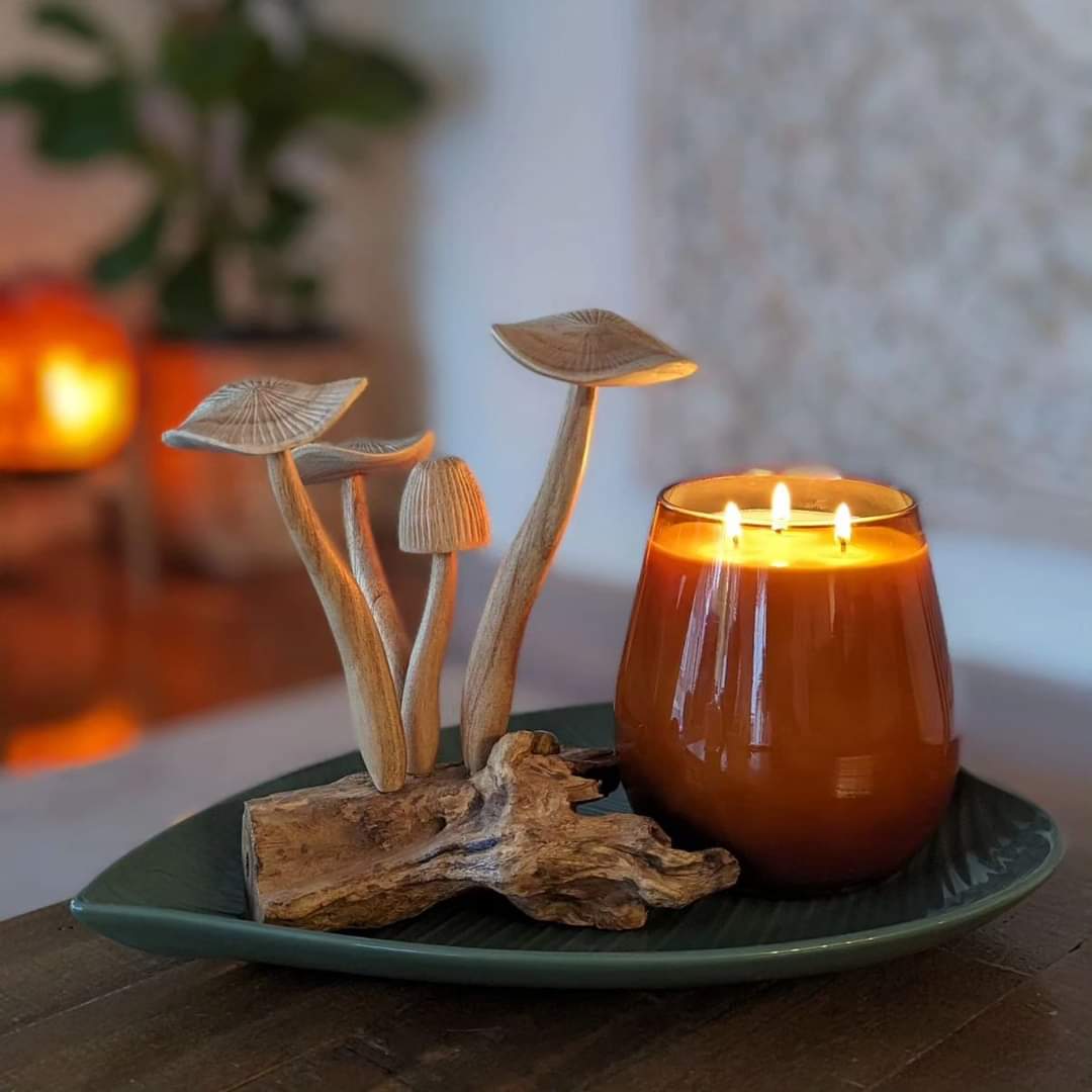 Renee Jumbo Sized Soy Candle Jar Enchanted Soy Candles and Gifts