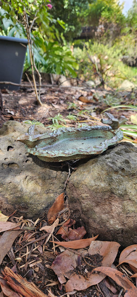 Cast iron Bird Bath