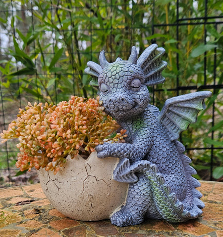 Dragon Hatchling Pot/ Planter for Flowers/Plants