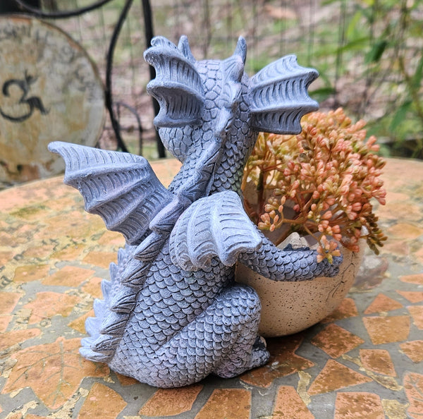 Dragon Hatchling Pot/ Planter for Flowers/Plants