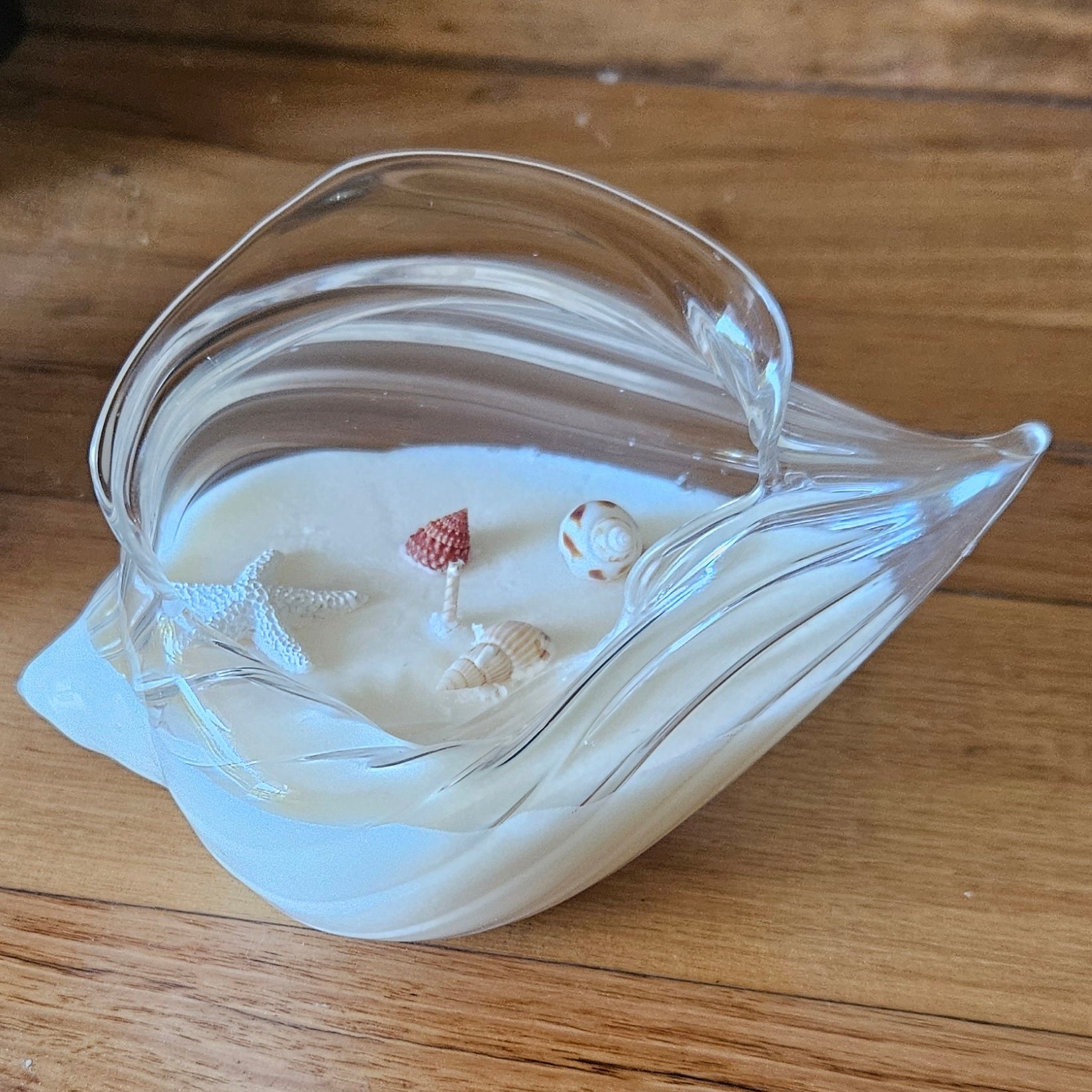 Clear Glass Conch Shell Soy Candle