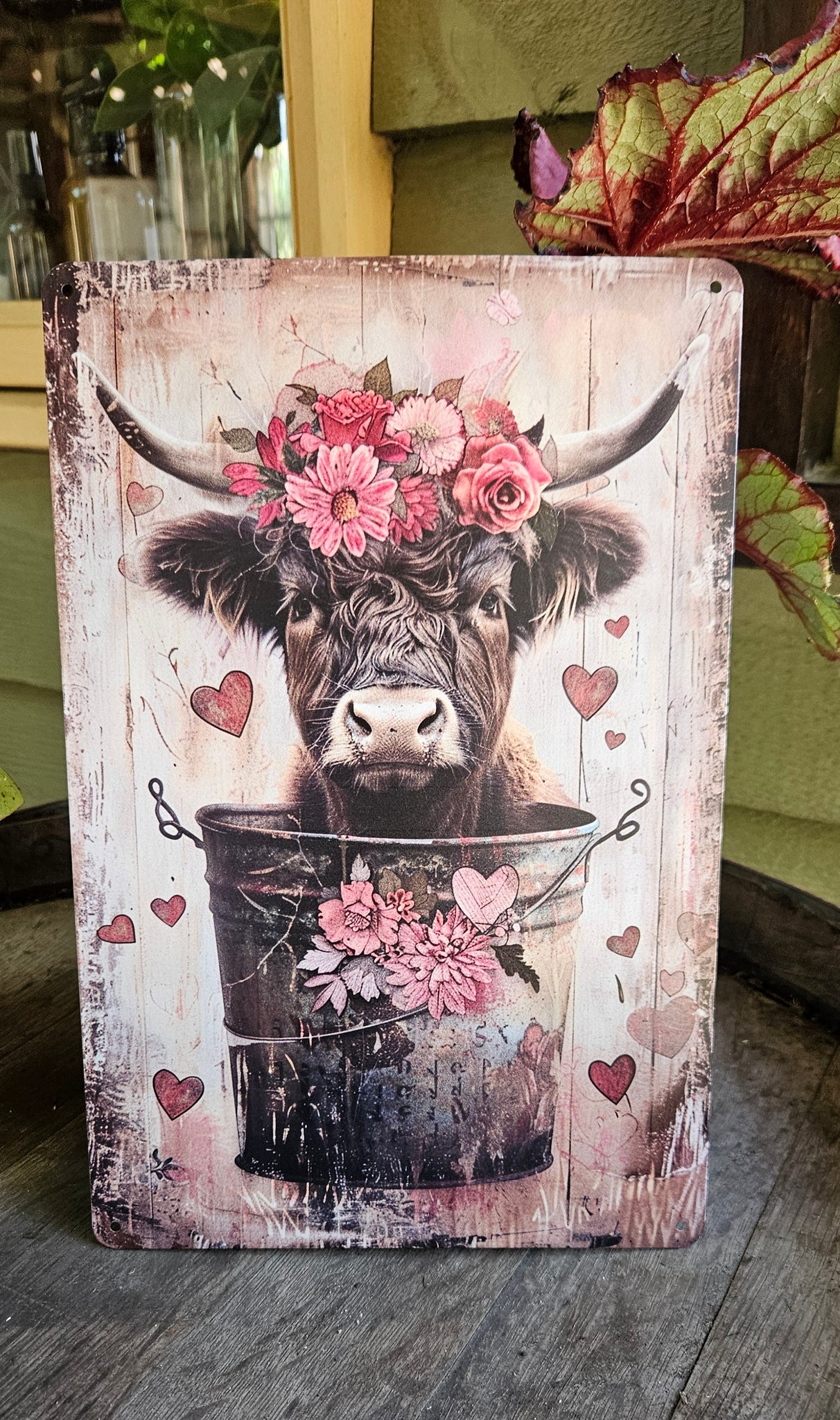 Metal Sign - Highland Cow