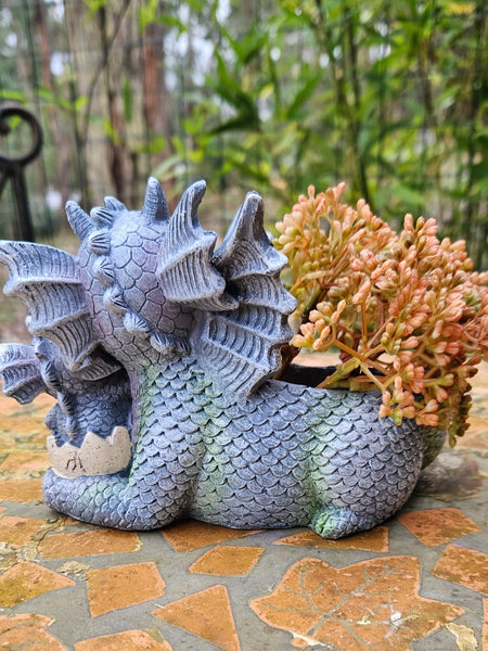 Dragon Hatchling Pot/ Planter for Flowers/Plants