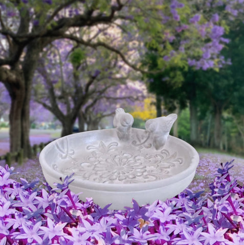 Bird Bath Tap Bowl