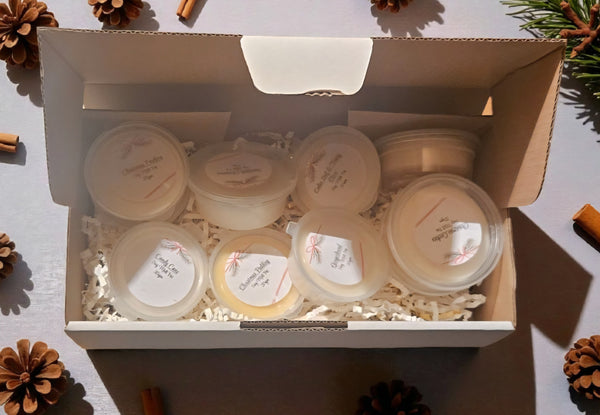 Christmas Sampler Soy Melt Box Set